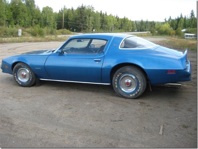 1978 Firebird, owned by Bill Turner