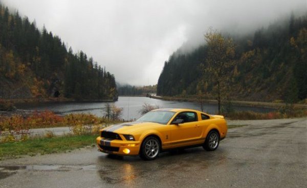 2007 Shelby GT 500 owned by Gord Phillips